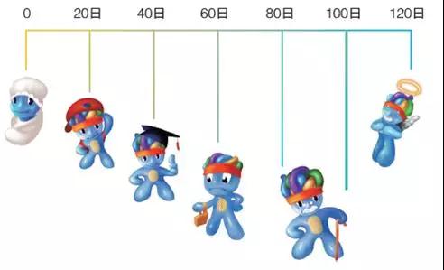紅細胞壽命測定有助于血糖監(jiān)控效果的精準評估1